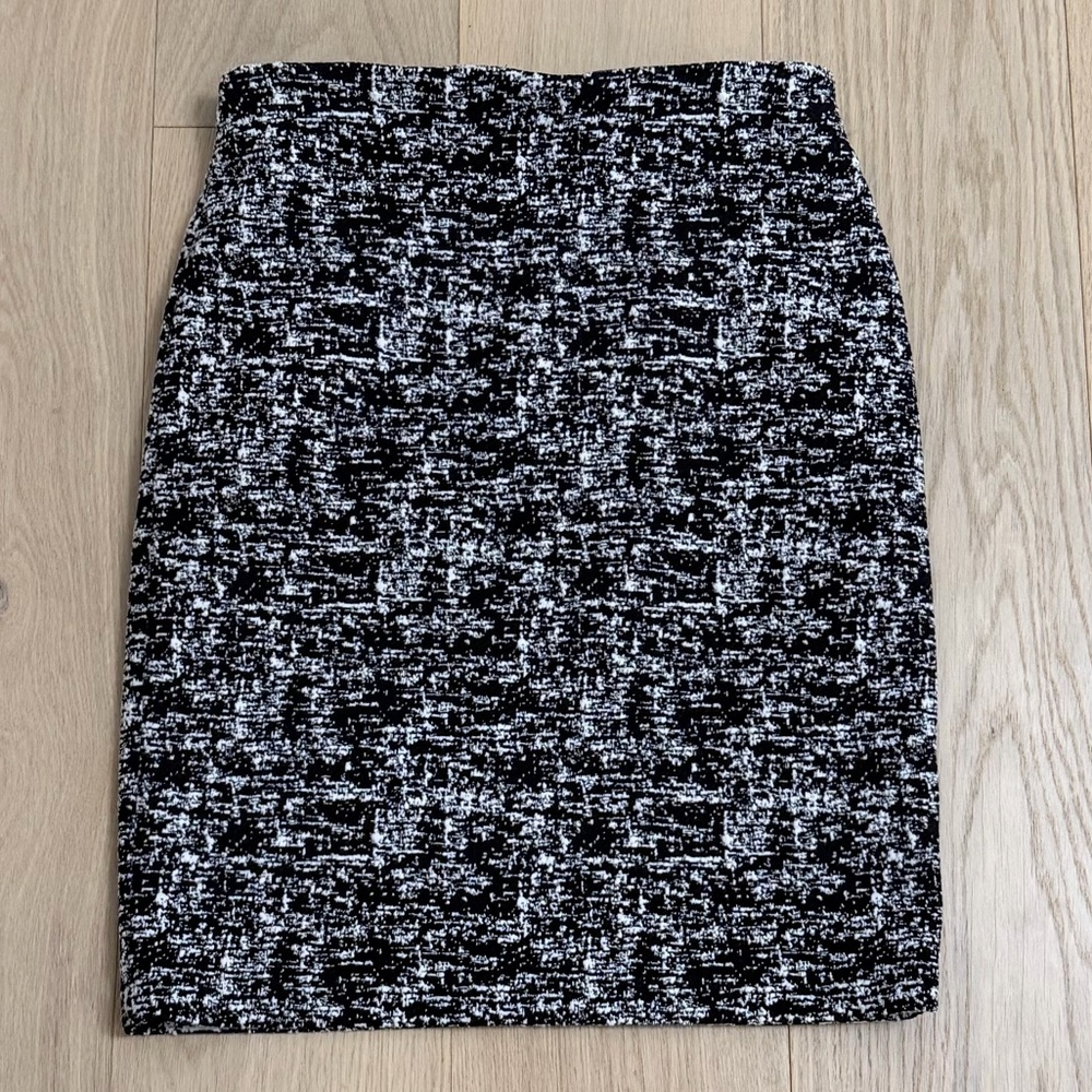 Philosophy Skirt